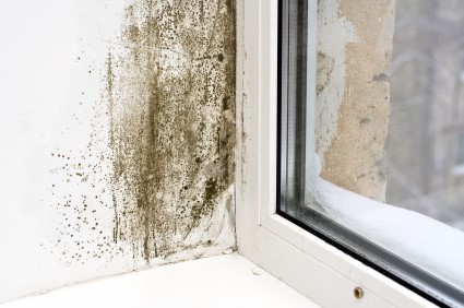 Mold Removal in Pompton Lakes by AAA Restoration