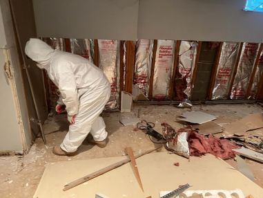 Mold Remediation in Paterson, NJ (2)