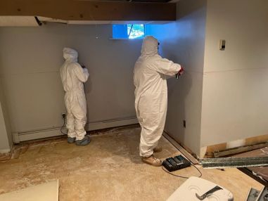 Mold Remediation in Paterson, NJ (1)