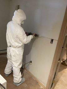 Mold Remediation in Paterson, NJ (2)